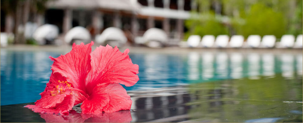 Gayana Marine Resort Kota Kinabalu Dış mekan fotoğraf
